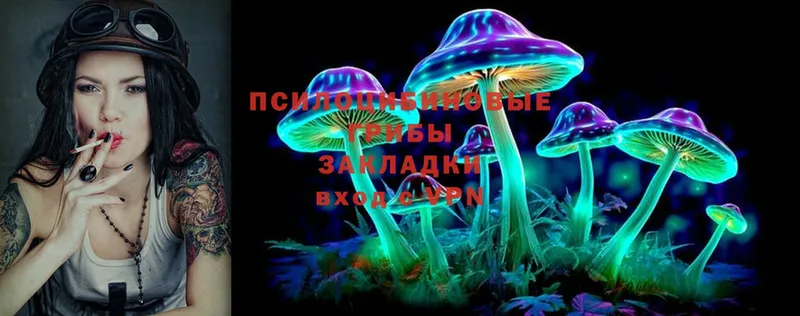 Галлюциногенные грибы Psilocybine cubensis  Безенчук 